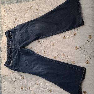 American Eagle Curvy Skinny Kick Jeans 18 Long